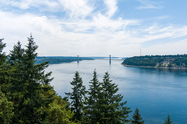 washington outpatient